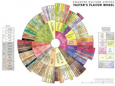 counter culture coffee taste's flavor wheel.jpg