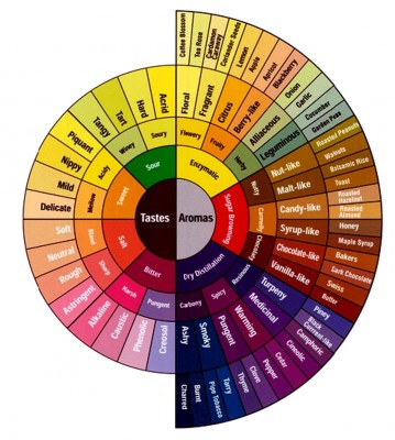 coffee_tasting_flavor_wheel1.jpg