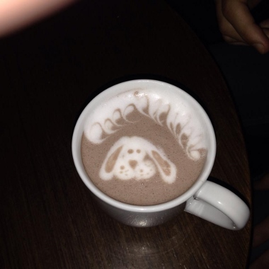 10511255_10153583950696959_6549737429600074040_n (380x380).jpg