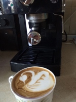 image-7fddfc63713d9824583ef508eddee57ae7e1616e66e1b166e012c000291170c5-V (150x200).jpg