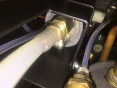 IMG_4609 (Medium).JPG