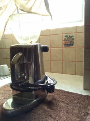 IMG_20160426_132600 (480x640) (480x640).jpg