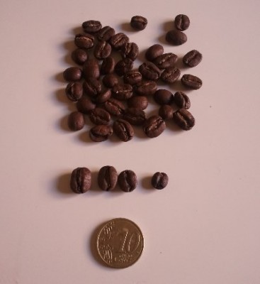 Beans Helsar Magdalena - Costa Rica - Taf.jpg