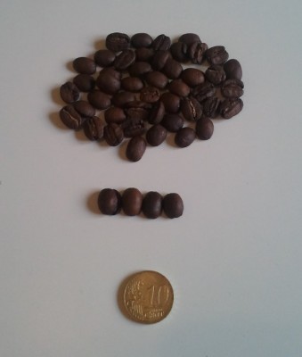 Beans - Habit - Kudu.jpg