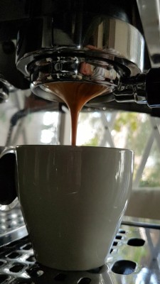 Screenshot_20180822-093658_Video Player_resized_1.jpg