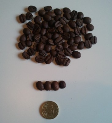 Santa Rita - Brazil - Kudu Κόκκοι.jpg