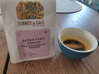 Moplaco Ethiopia.jpg