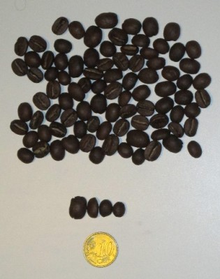 Los Placeres - Nicaragua - Kudu - Κόκκοι.jpg