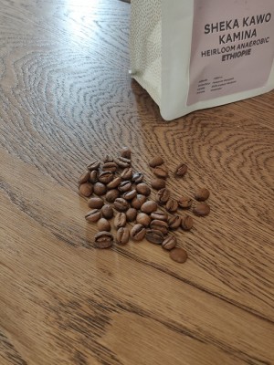 Moplaco Beans-Anaerobic.jpg