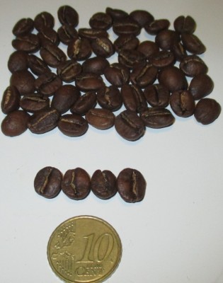 San Rafael - Tarrazu Costa Rica - Kudu1.jpg