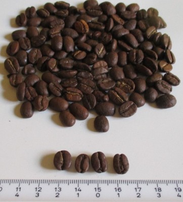 Κόκκοι-  Bucaramanca Colombia - Taf.jpg